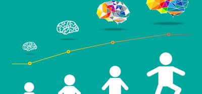 brain development