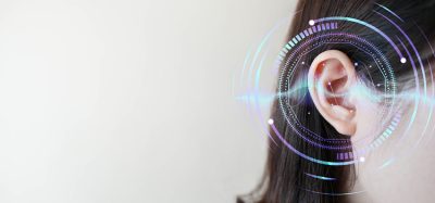 brain auditory