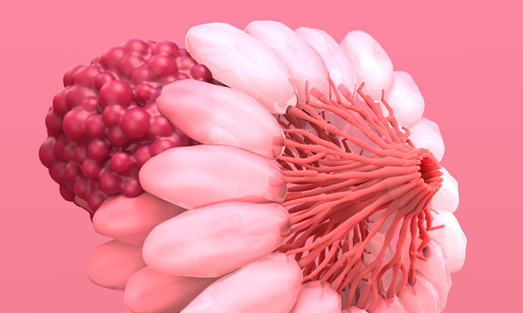 Image showing 3D rendering of breast cancer cell