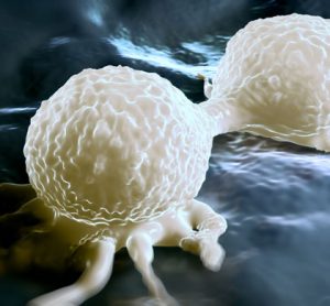 triple negative breast cancer protein