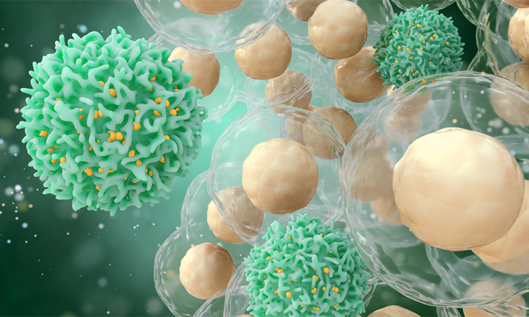 Medical concept of cancer on an abstract background. 3d illustration of T cells or cancer cells.