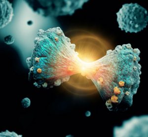 vitamin B6 for leukaemia cells