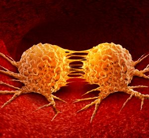 orange cancer cells dividing in red tissue