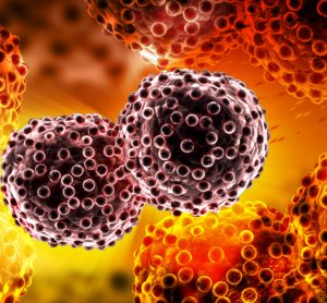 cancer cells dividing