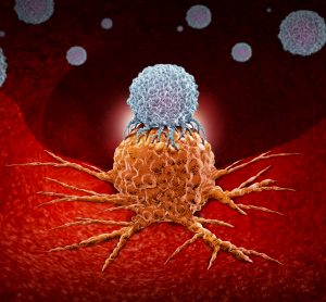 white blob representing a Natural Killer T cell attaching an orange cancer cell on a red tissue-like background
