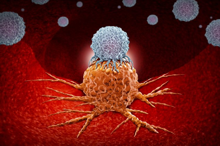 white blob representing a Natural Killer T cell attaching an orange cancer cell on a red tissue-like background