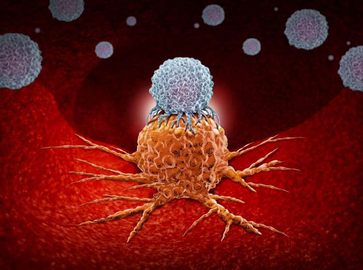 white blob representing a Natural Killer T cell attaching an orange cancer cell on a red tissue-like background