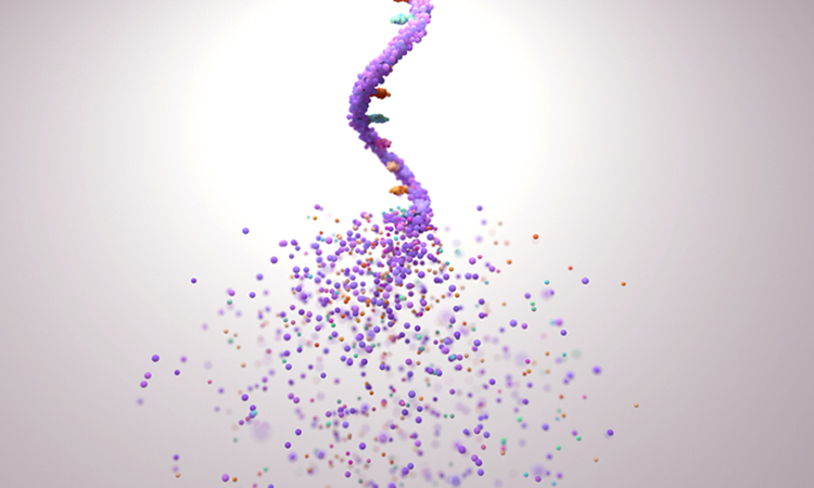 cancer protein data base