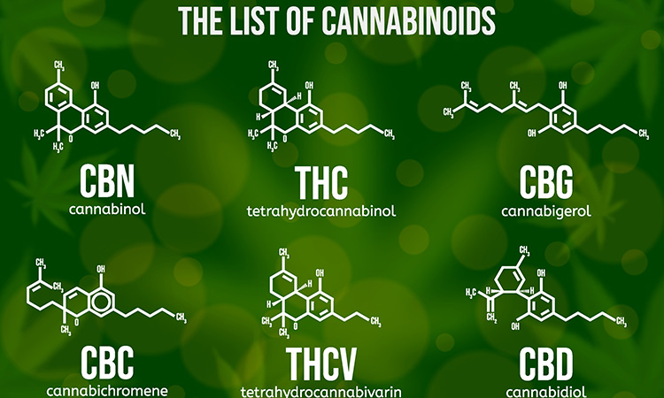 Image showing Realistic vector illustration of cannabinoid