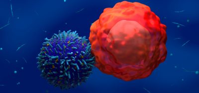 Image showing 3d illustration CAR T-cell attack cancer cell