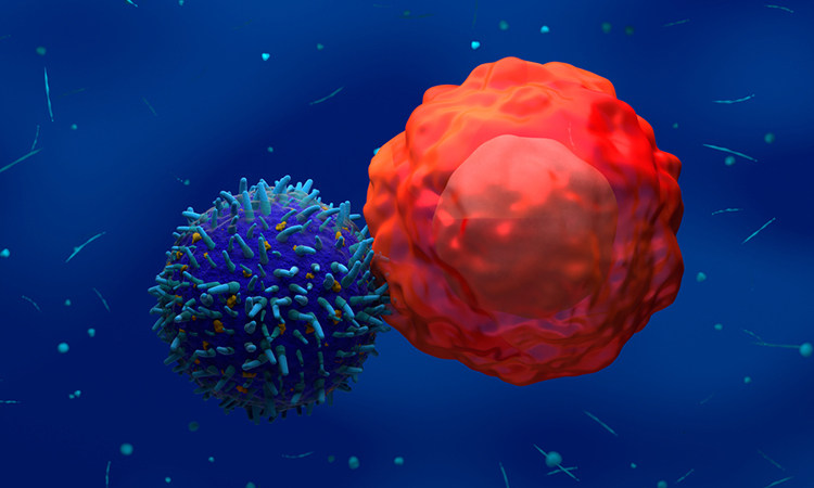 Image showing 3d illustration CAR T-cell attack cancer cell