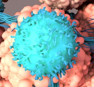 CAR T Cell