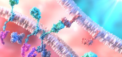 CAR T-Cell Therapy. T-Cell binding to a tumour cell using Chimeric Antigen Receptor (CAR)