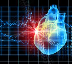 cardiovascular diseases