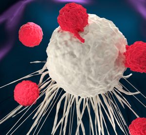 3D illustration of T cells attacking a cancer cell (CAR-T cell therapy)