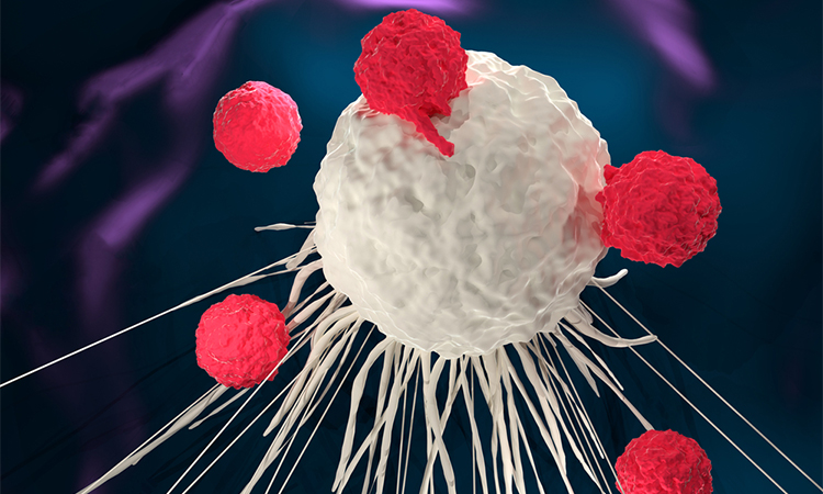 3D illustration of T cells attacking a cancer cell (CAR-T cell therapy)