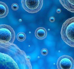 single molecule