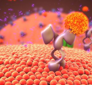 purple cell surface receptor binding orange 'ligand'