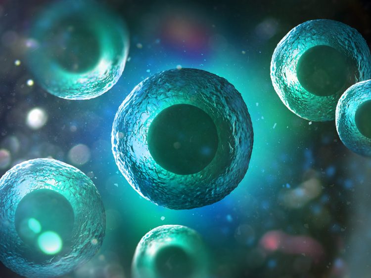 cells in blue and green on a dark background
