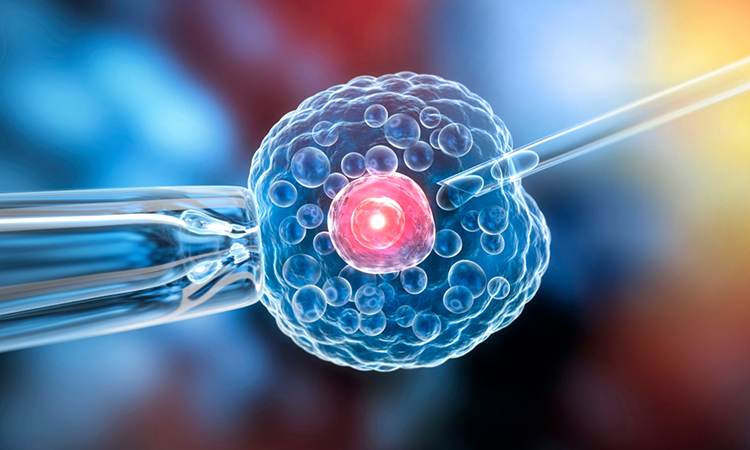 Cell with Pipette and Needle injecting Biological Material - 3d Illustration