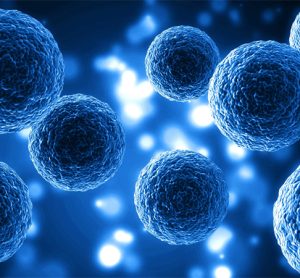 Human Cell Molecule