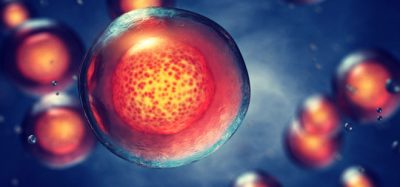 cellular ageing