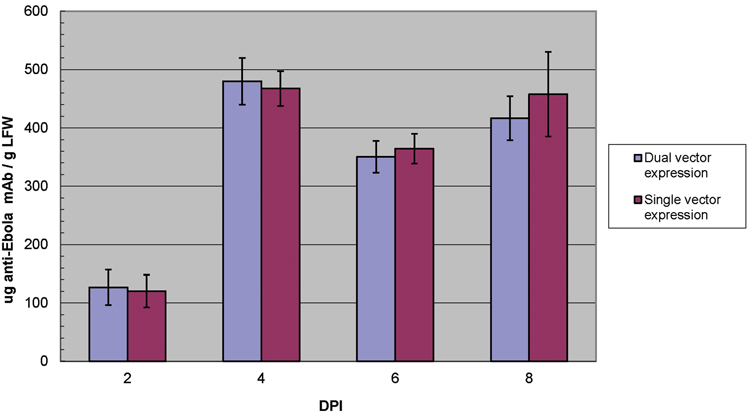 Figure 2: Expression of anti-Ebola mAb in N. benthamiana plants with geminiviral dual- or single-vector system. Levels of mAb accumulation in leaves days post vector infiltration (DPI) was measured by ELISA