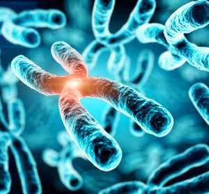 New analytical method provides an insight into additional chromosomes