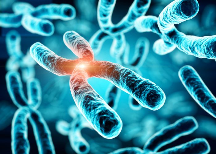 New analytical method provides an insight into additional chromosomes