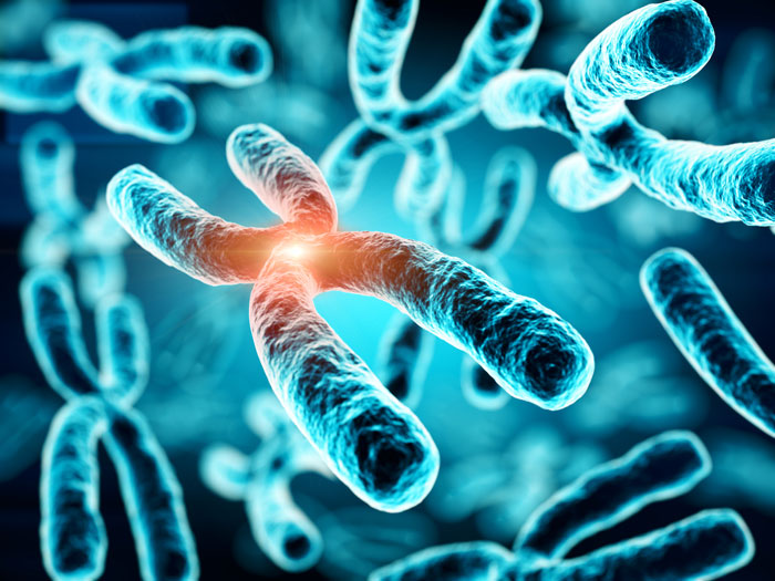 New analytical method provides an insight into additional chromosomes