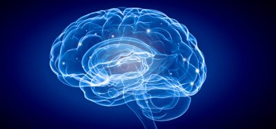 cognitive flexibility