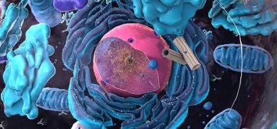 condensate biology