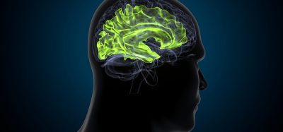 cognitive function