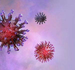 pink coronavirus particles with purple spike proteins sticking off on a lilac background