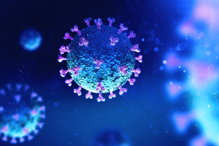 coronavirus particles in blue with pink spike proteins on their surface
