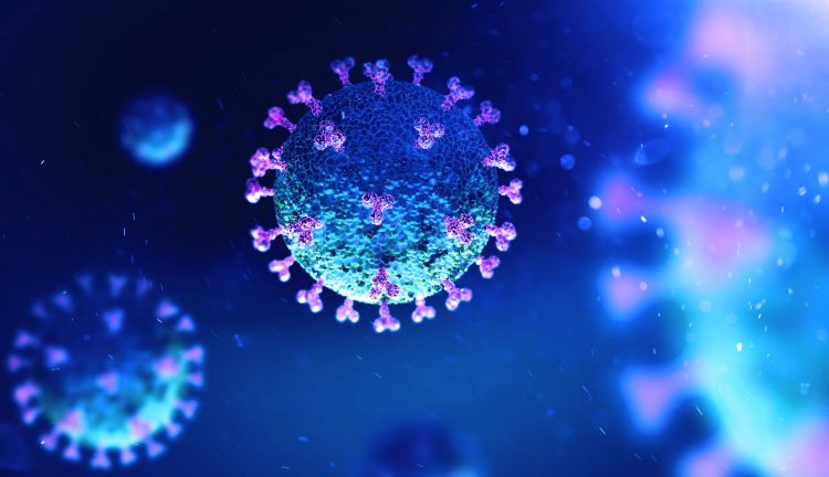 coronavirus particles in blue with pink spike proteins on their surface