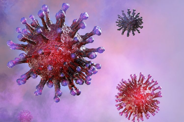 3D rendering of coronavirus particles