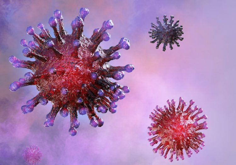 3D rendering of coronavirus particles