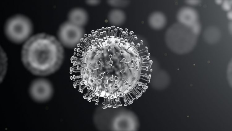 coronavirus with cell surface protein projections