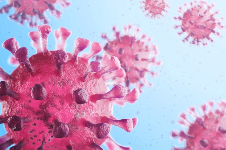 pink coronavirus particles