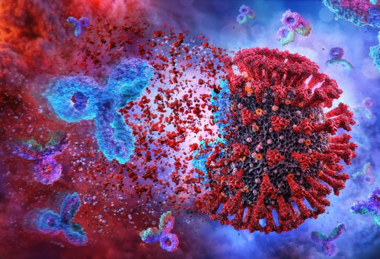 coronavirus being destroyed by antibody