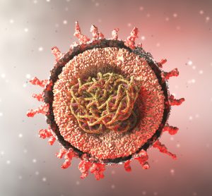 coronavirus