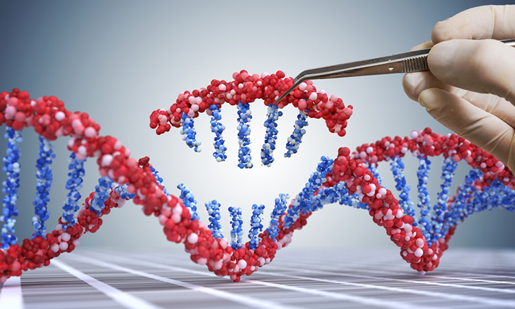 Genetic engineering, GMO and Gene manipulation concept. Hand is inserting sequence of DNA. 3D illustration of DNA.