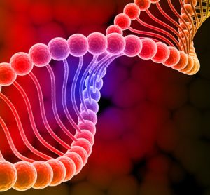 genome editing