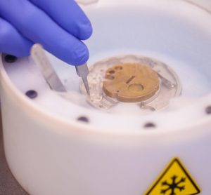 Preparing cryo-electron microscopy grid sample in liquid nitrogen with protective gloves