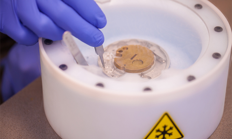 Preparing cryo-electron microscopy grid sample in liquid nitrogen with protective gloves