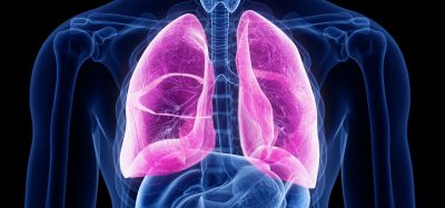 lungs in pink within a blue body