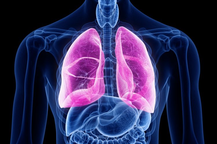 lungs in pink within a blue body