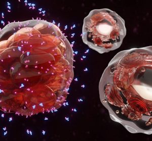 cytokine