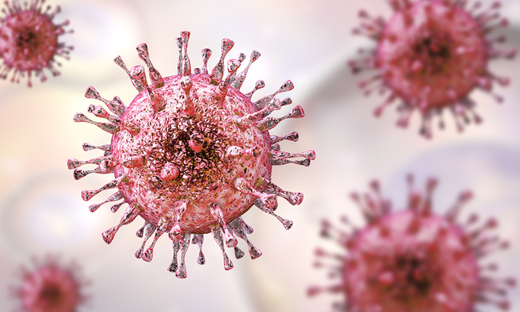 Cytomegalovirus CMV, a DNA virus from Herpesviridae family on a background with giant cells. 3D illustration. CMV mostly causes diseases in newborns and immunocompromised patients